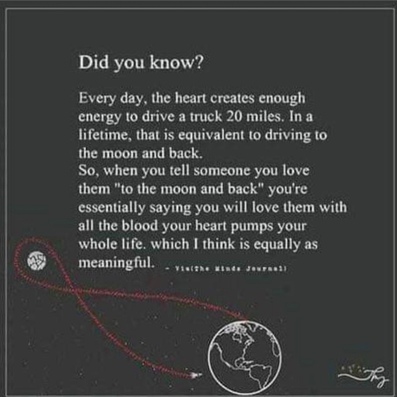 Meet your Posher - Picture 7 of 15